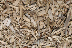 biomass boilers Fleisirin